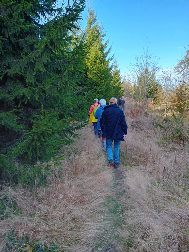 Naturpfad zum Olsberg